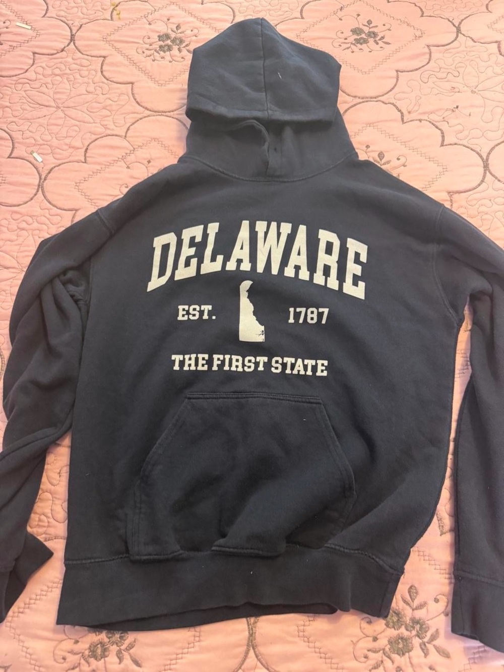 Delaware Graphic Crewneck Sweatshirt - Black